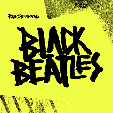 rae sremmurd feat gucci mane black beatles discogs|rae sremmurd black beatles feat gucci mane lyrics.